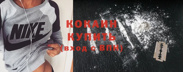 шишки Верхний Тагил