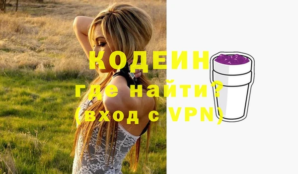 шишки Верхний Тагил