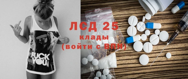 шишки Верхний Тагил