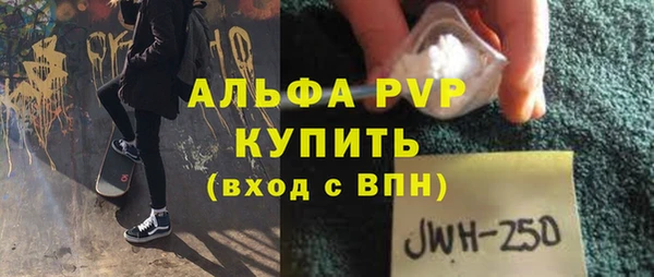 шишки Верхний Тагил