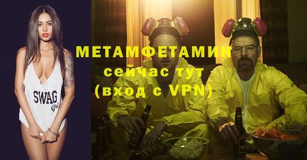 шишки Верхний Тагил